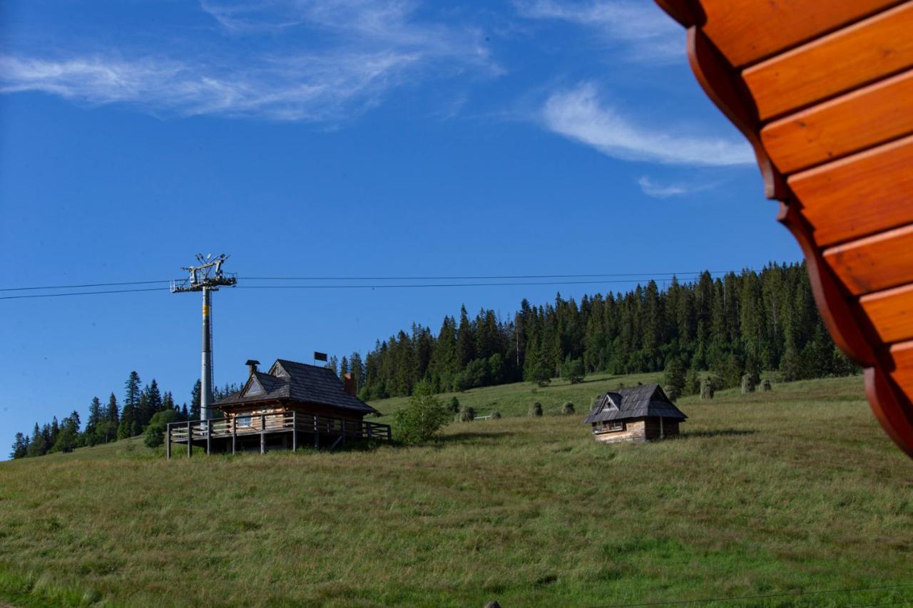 Mc82 - Anna I Marek Lukaszczyk Homestay
